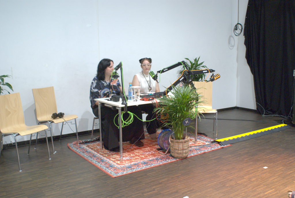 Zwei Personen sitzen an einem Tisch, vor jeder hängt ein Podcast-Mikrofon an einem Schwenkarm, unter dem Tisch liegt ein Teppich, daneben steht eine Zimmerpflanze, dahinter eine glatte weiße Wand